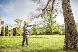 Viroqua, WI Tree Services Company